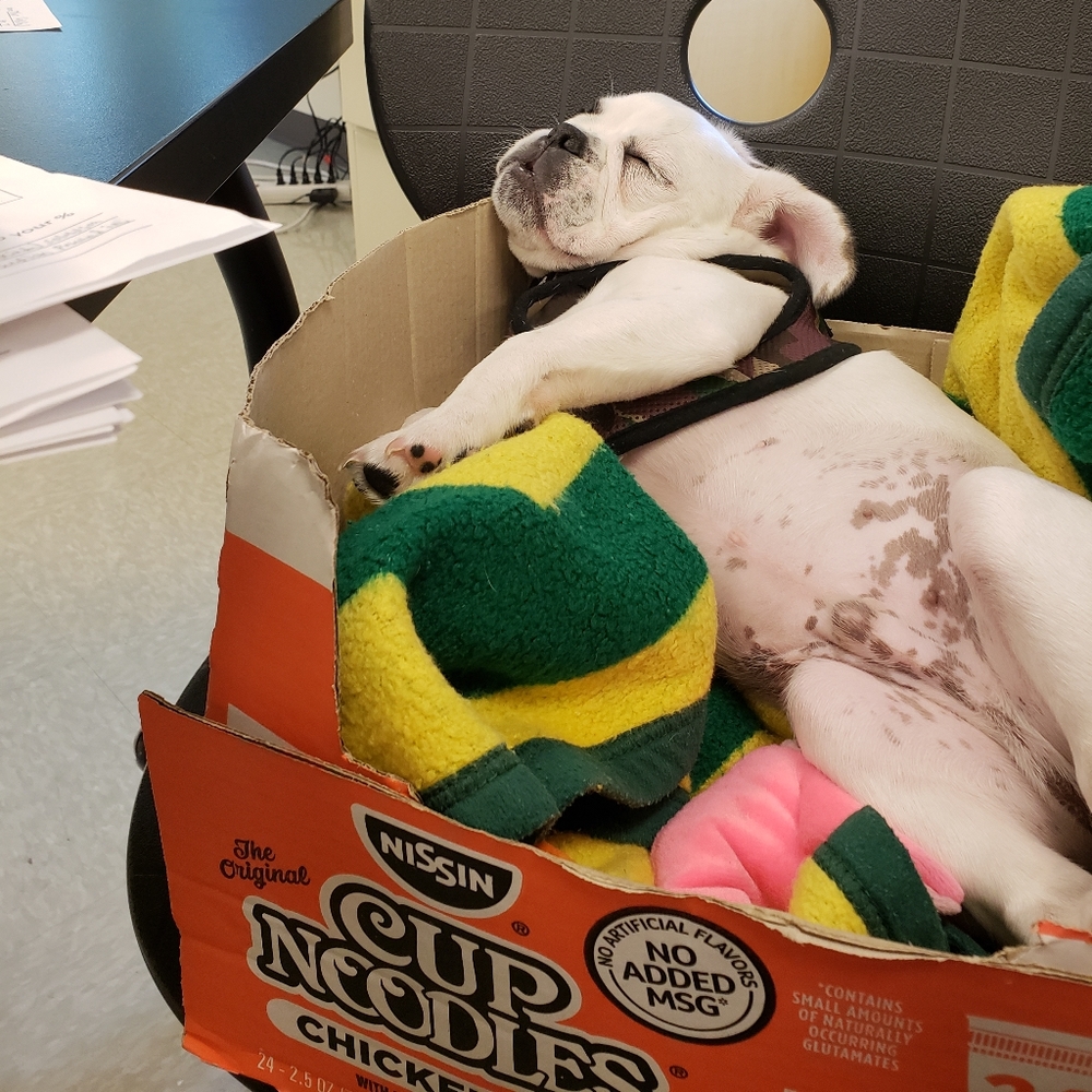 Quantity&Quality - Picture 6 of 8